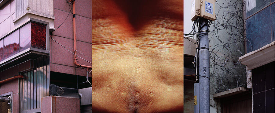 triptych-buildings-sandwich-photograph-of-stomach-skin