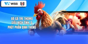 Đá Gà Tre Thomo
